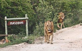 Masodini Game Lodge